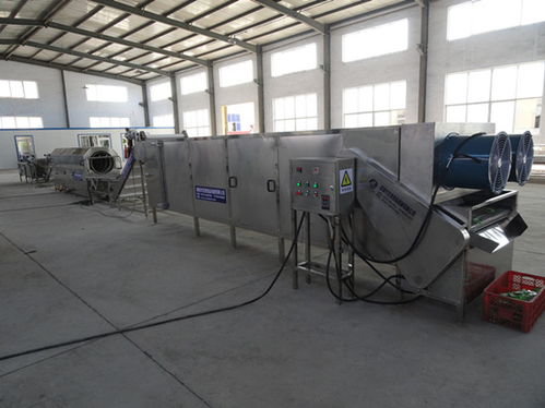 全自动烘干生产线 型号规格参数及其在粮食与食品加工中的应用解析