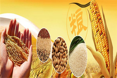 丰园农副食品 深耕粮食加工，守护百姓餐桌安全与营养