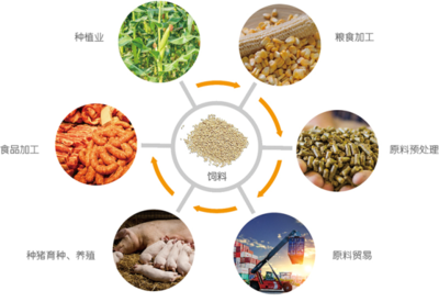 谷实生物成功完成创业板上市辅导，2020年营收突破17亿元，粮食加工食品生产领域再添强将